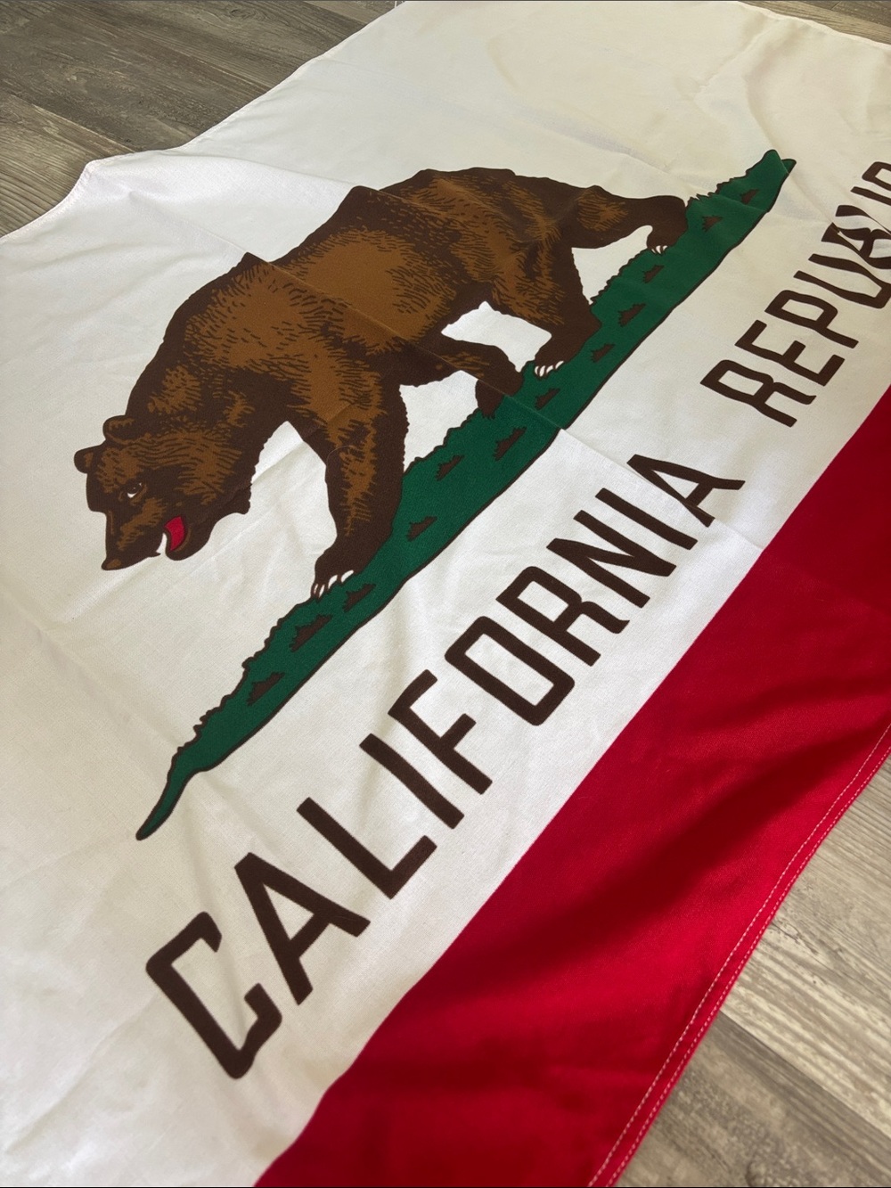 PacSun California Republic Bear Flag in White, Brown, Green, Red